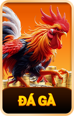 king88 đá gà hình ảnh
